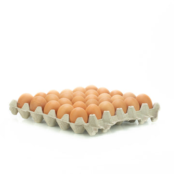 Huevos - Productos Del Día
